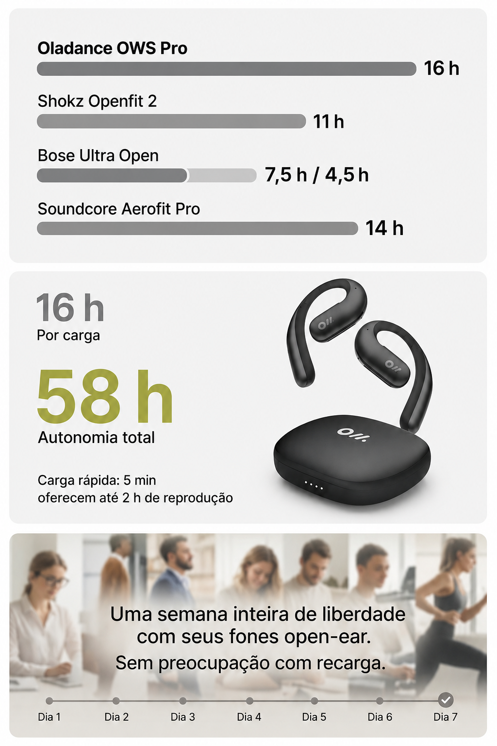 pt_BR_image f-3.jpg